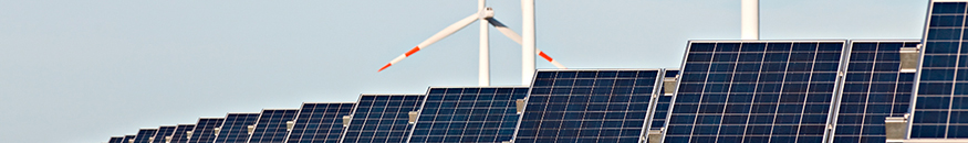 Ingeniería Ambiental: Valorización Energética