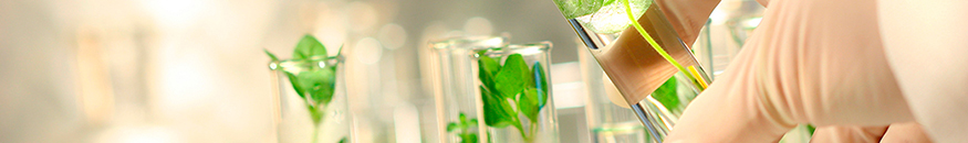Bioética y Biojurídica