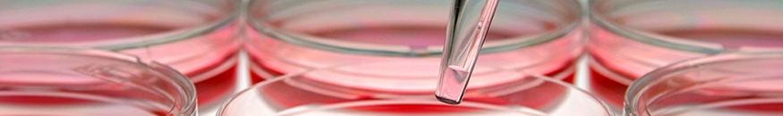 Bioética Aplicada al Campo Clínico Experimental