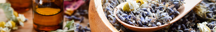 Tratamentos Biológico-Naturistas IV