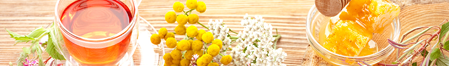 Medicina Biológica-Naturista Aplicada: Nutrição, Fitoterapia e Aromaterapia