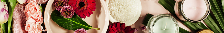 Tratamentos Biológico-Naturistas I