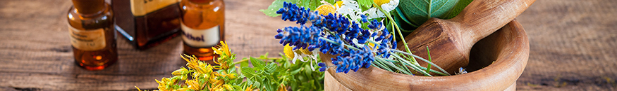 Terapéutica Homeopática
