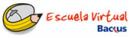 Escuela Virtual Backus